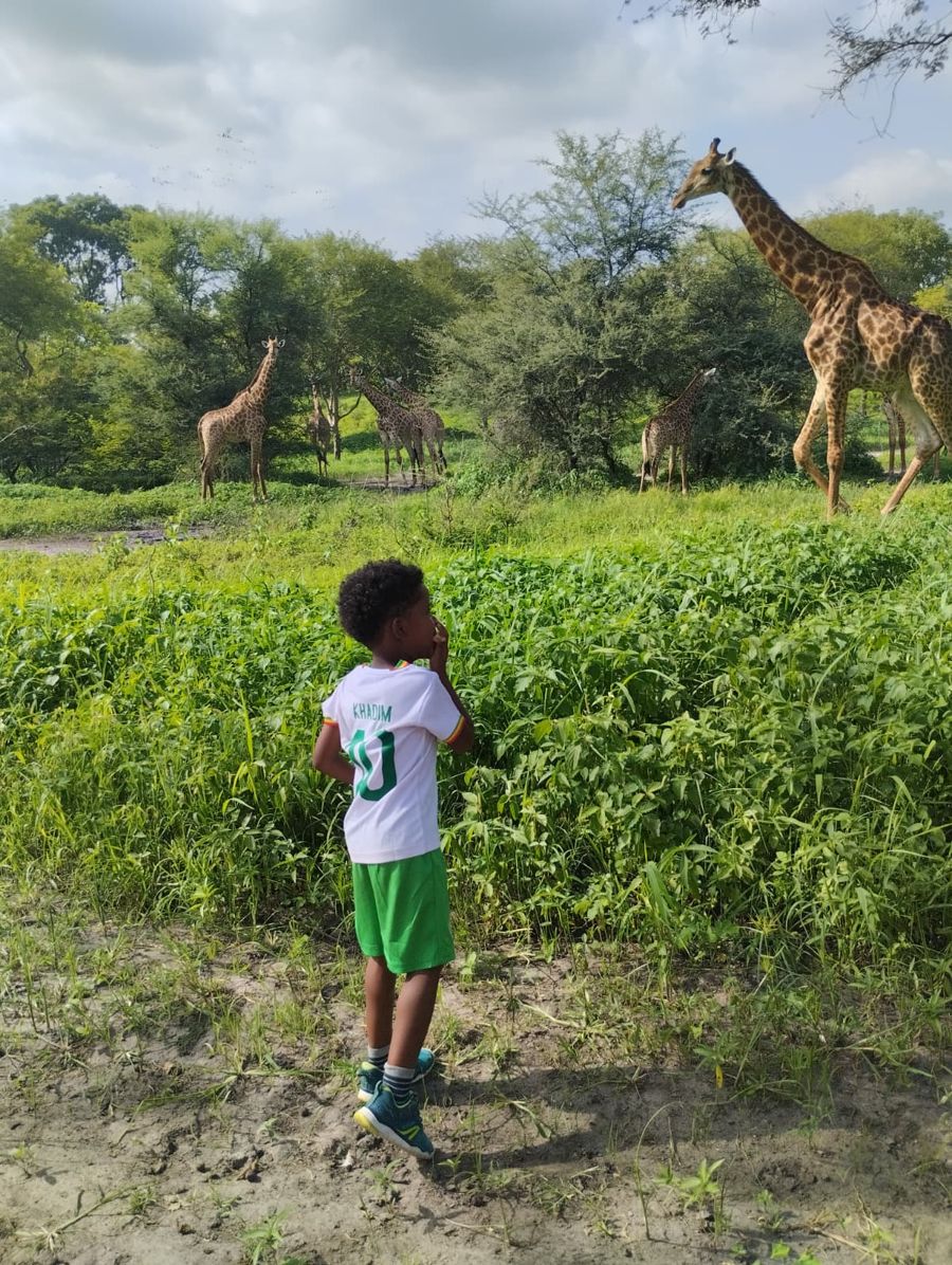 Niño con la camiseta de Senegal mirando jirafas
